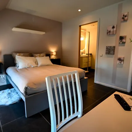 Viticolo D'hotes 3* Tubize