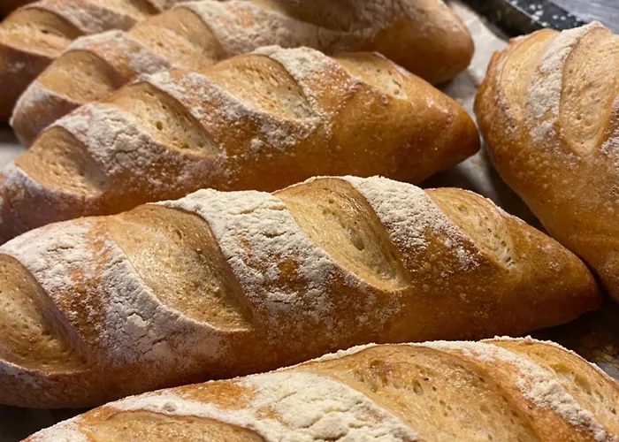 Viticolo D'hotes Frühstückspension Tubize
