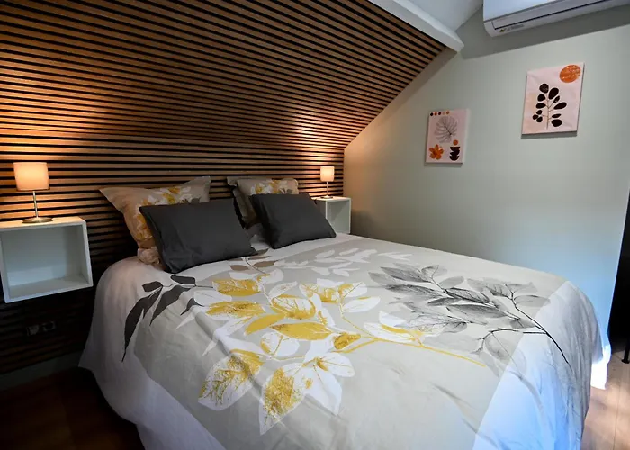 Viticolo D'hotes 3*