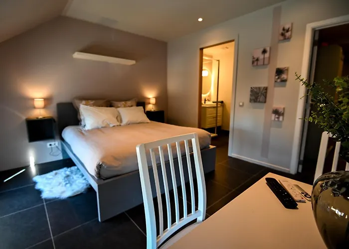 Viticolo D'hotes 3* Tubize